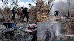 Related article image