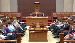 Seah Kian Peng on expenditure and development estimates