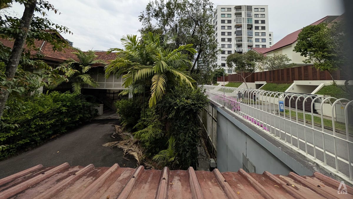 38 Oxley Road site offers authentic link to independence that Founders’ Memorial cannot replicate: David Neo