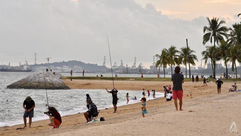 Low-lying Singapore explores innovations to future-proof coastlines from rising sea levels