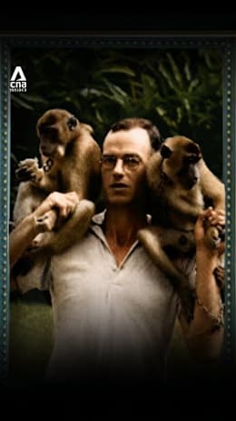 The monkey bite that helped save Singapore’s scientific treasures