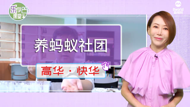【高华快华】中学生创办养蚂蚁社团