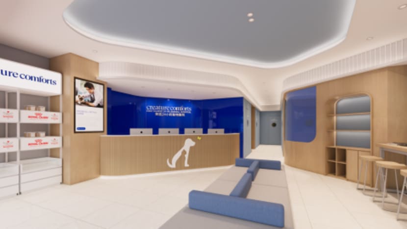 Creature Comforts Veterinary Group opens Hong Kong Island’s first purpose-built Fear Free® 24-hour animal hospital