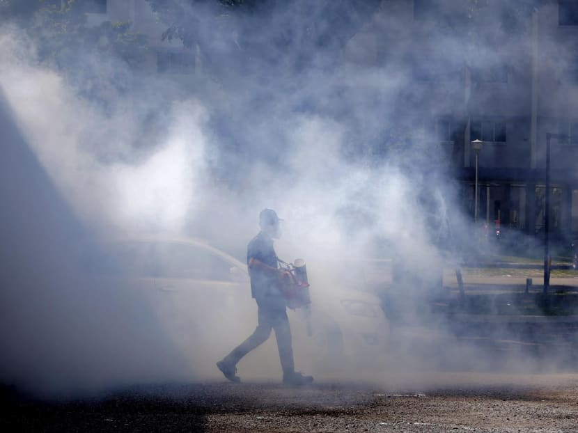 Pest control personnel fogging at Bodok North Ave 3 on Sept 2, 2016. Photo: Wee Teck Hian