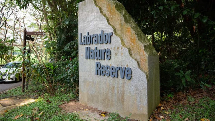 200ha nature park network to link Labrador Nature Reserve to nearby green spaces by 2025