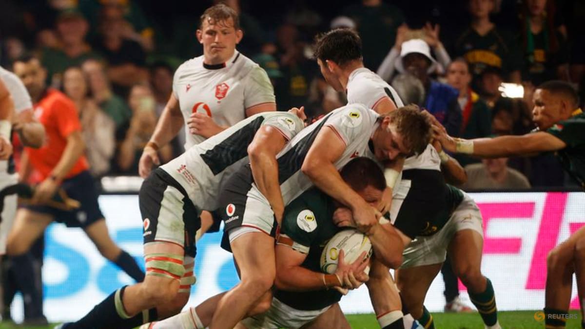 Sloppy Springboks secure 43-0 win over Wales in Nations Championship