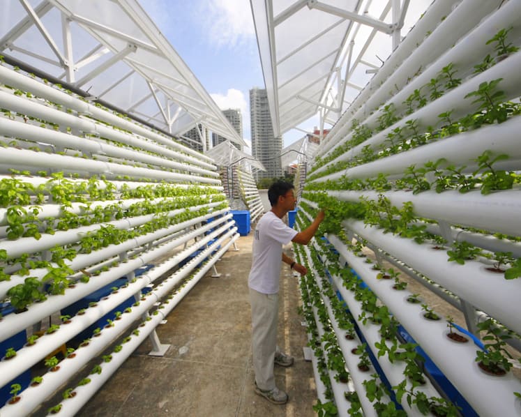 Farmers to get grants to boost productivity through tech