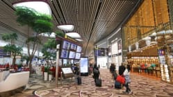 Related article image