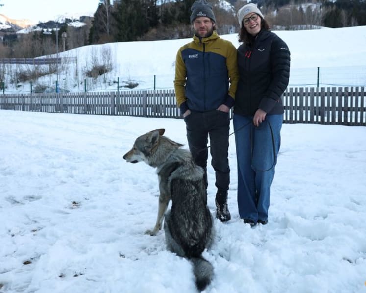 Owners recount panic after Nazgul gatecrashes race on doggy day out