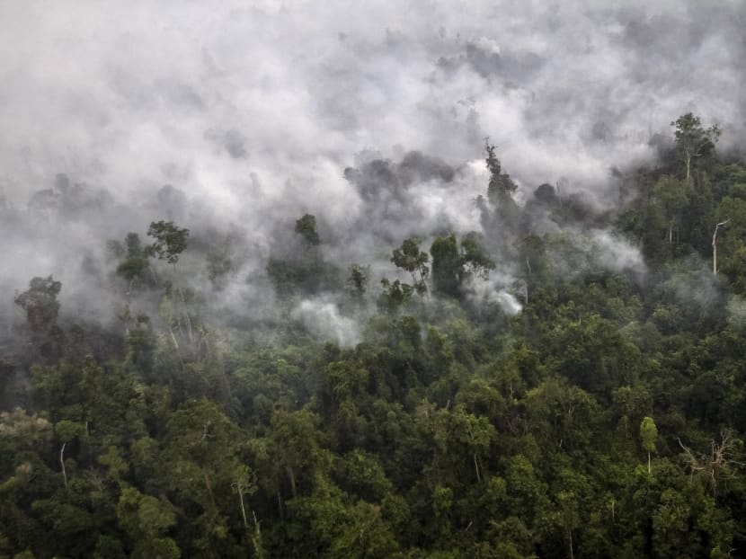A forest fire is seen from a helicopter operated by the National Agency for Disaster Management (BNPB) over Langgam District, Riau province on the island of Sumatra in this September 23, 2015 file photo taken by Antara Foto. Photo: Reuters A forest fire is seen from a helicopter operated by the National Agency for Disaster Management (BNPB) over Langgam District, Riau province on the island of Sumatra in this September 23, 2015 file photo taken by Antara Foto. Photo: Reuters