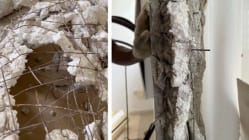 Related article image