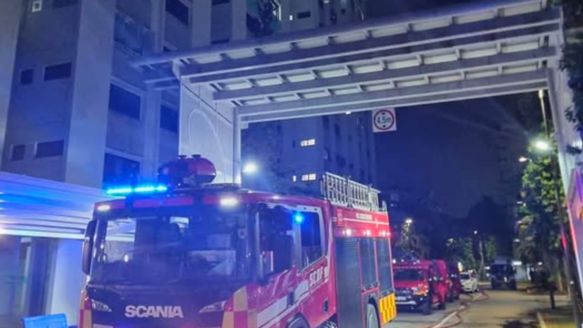 Two firefighters injured in Clementi flat fire