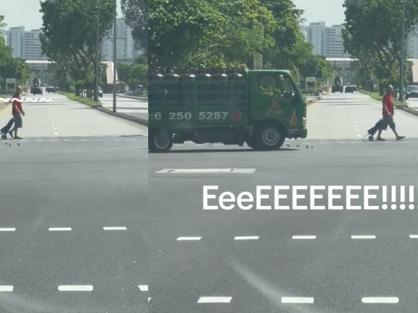 This video of a family of chickens crossing Dunman Road is the most exciting thing you&rsquo;ll see all week