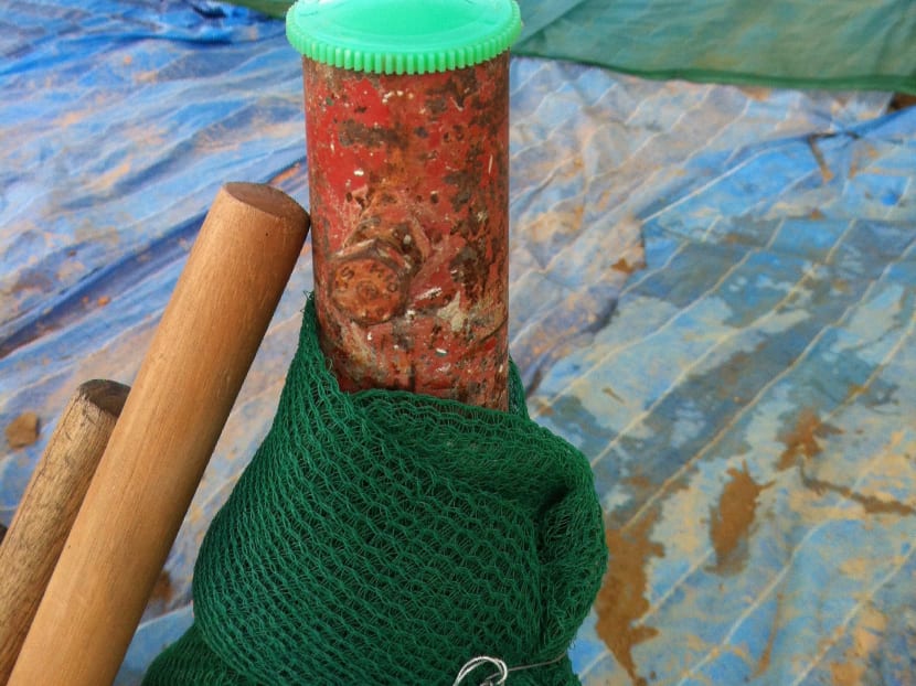 Greater focus on mosquitoes breeding at construction sites