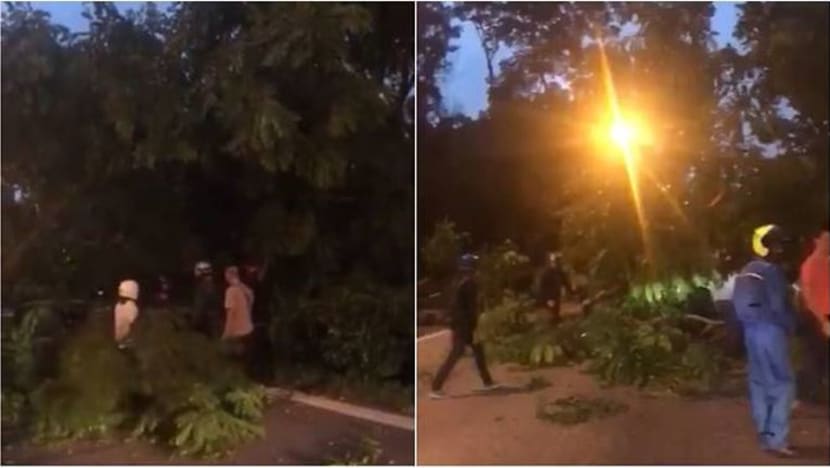 Pokok tumbang di TPE, halang pergerakan trafik Pokok tumbang di TPE, halang pergerakan trafik