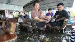 Gambar Pilihan Hari Ini