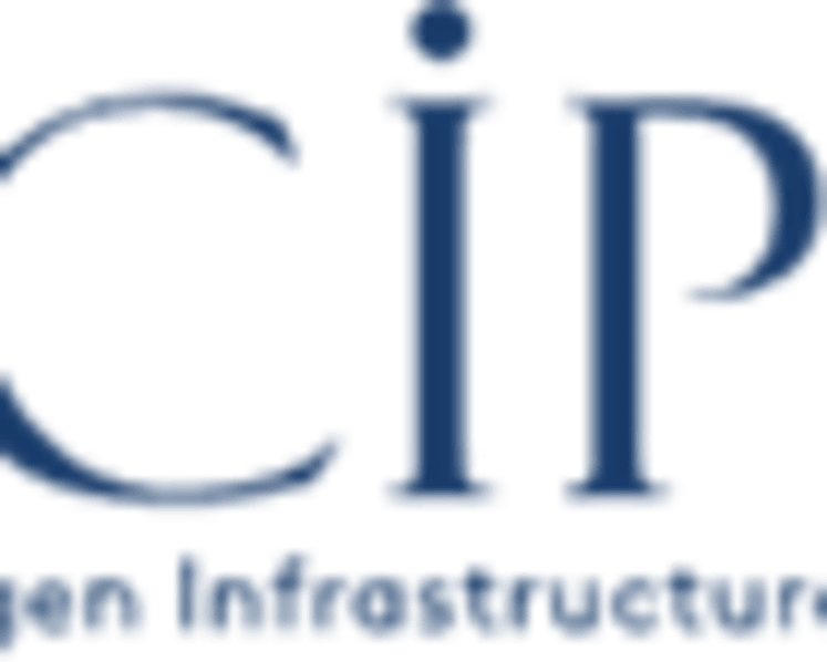 Copenhagen Infrastructure Partners reaches financial close and starts construction on its first project in Mexico