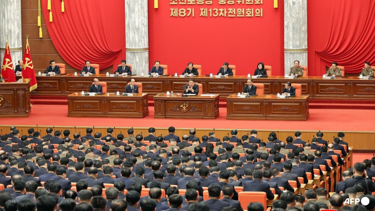 North Korea fires artillery salvo as Pyongyang kicks off key party meeting