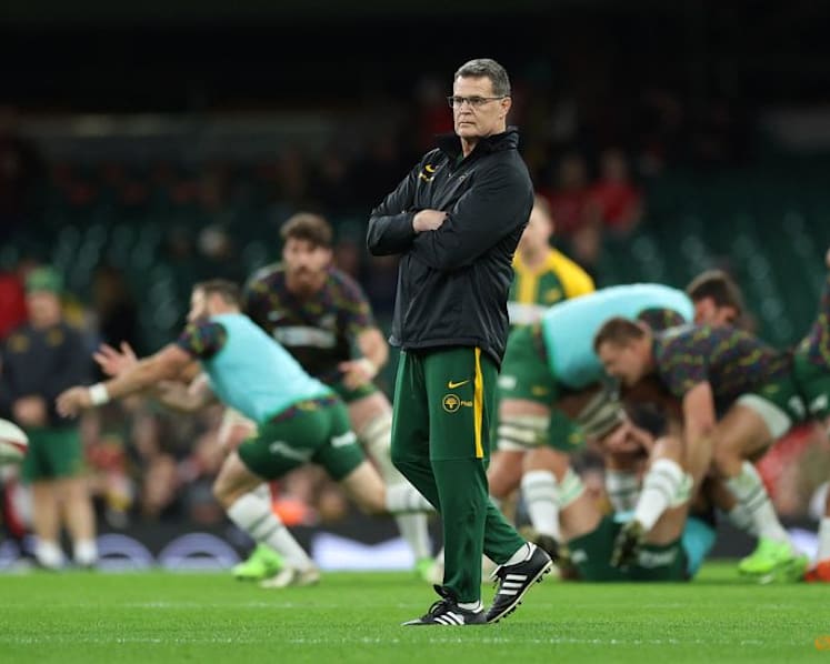Du Toit hails record-breaker Erasmus ahead of Scotland clash