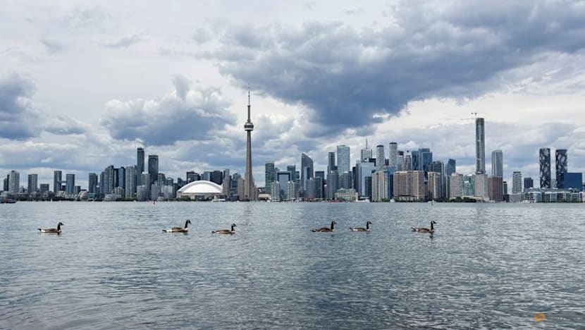 No wild goose chase: Two dogs keep birds off World Cup training pitch in Toronto
