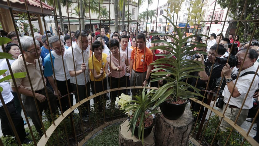1,500 Tanjong Pagar residents gather to remember Mr Lee Kuan Yew’s legacy