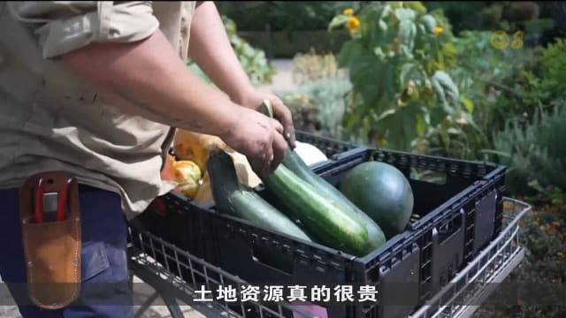 维多利亚州将有机垃圾转化为绿色肥料 助力公益超市