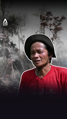 Why wildfires and deforestation are a vicious cycle in Indonesia