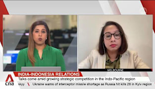 India-Indonesia ties set to deepen with defence and economic cooperation: Analyst