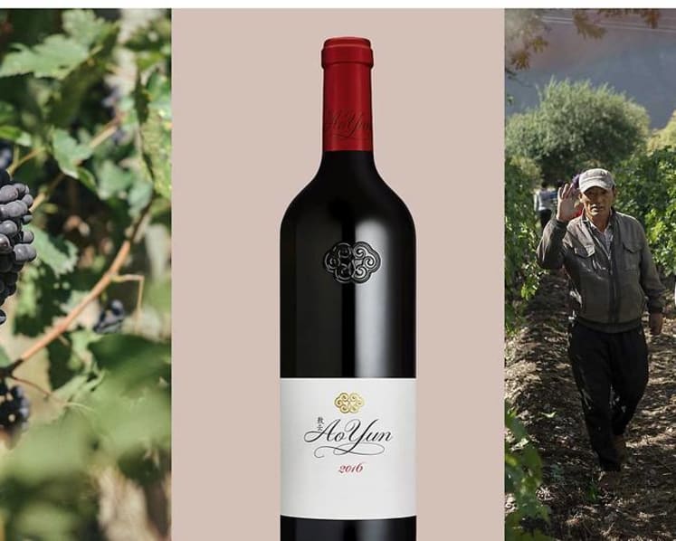 S$400 for a ‘Made in China’ wine: How does this top-dollar vino taste?