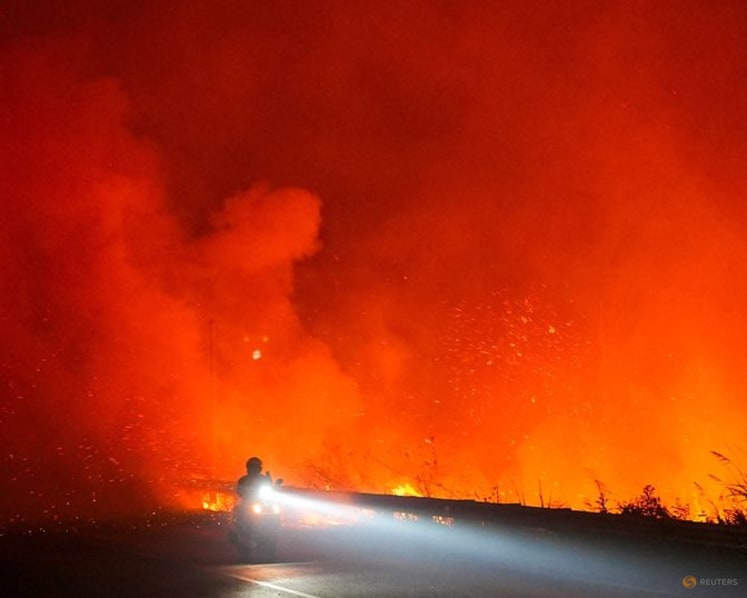 Indonesian president calls for stricter sanctions against forest fire perpetrators