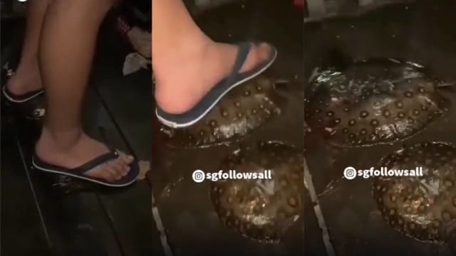 男孩脚踩魔鬼鱼被网民批残忍 当局已着手调查