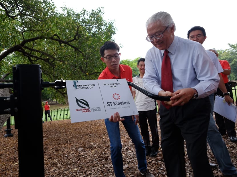 System developed to support iconic Tembusu trees