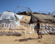 Trump's Gaza plan not in line with Muslim countries' proposal, says Pakistan