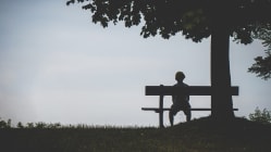 Related article image