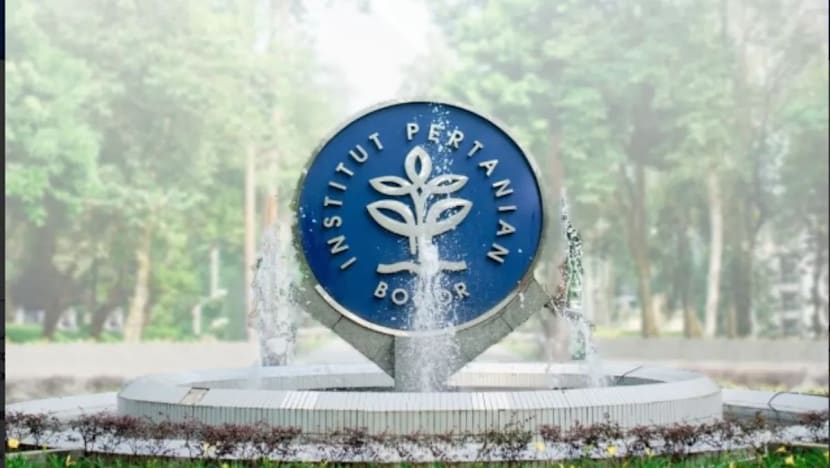 Setelah UI, giliran IPB skors 16 mahasiswa terkait dugaan pelecehan seksual 