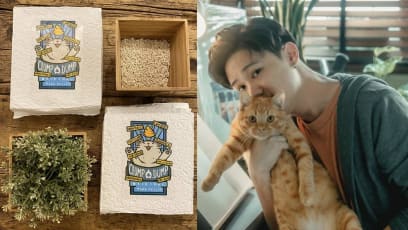 chen-xi-cat-litter