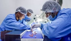More of the world’s medicines could get made in India, if it can cure its pharma ills