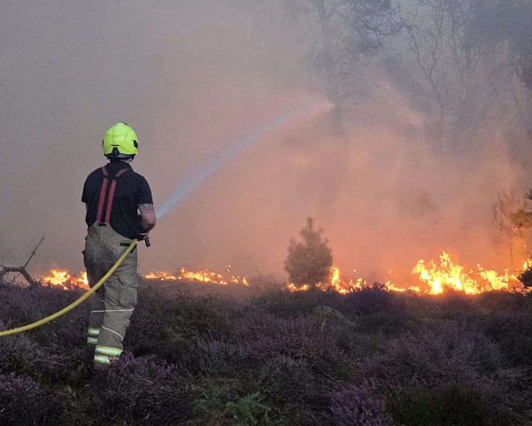 Firefighters in eastern England make 'progress' battling 'dynamic' wildfire Firefighters in eastern England make 'progress' battling 'dynamic' wildfire