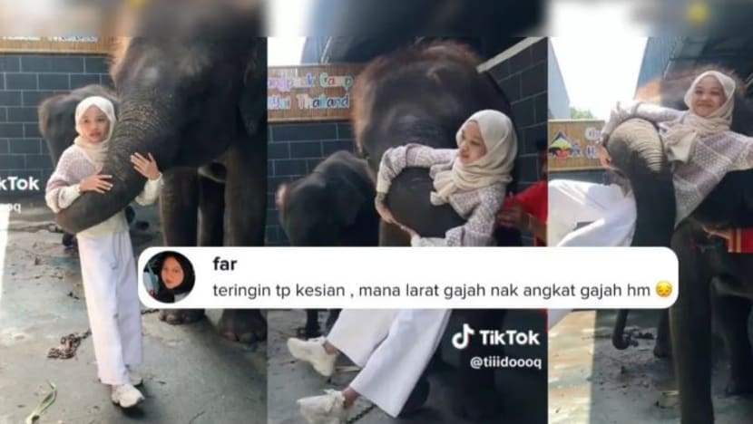 Telatah gajah angkat remaja dengan belalai di Thailand curi perhatian ramai Telatah gajah angkat remaja dengan belalai di Thailand curi perhatian ramai