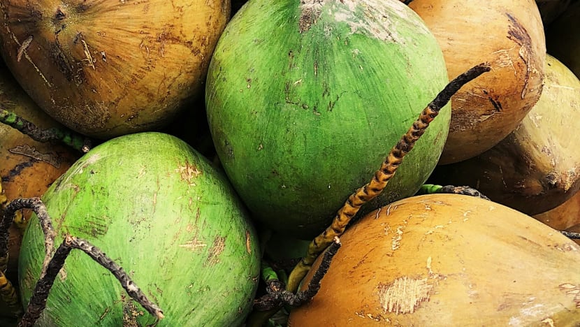 China import kelapa segar pertama dari Indonesia