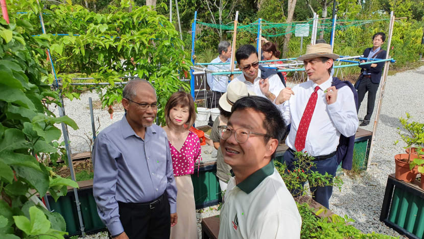No risk of running short of food from short-term disruptions, but climate change poses a greater challenge: Masagos
