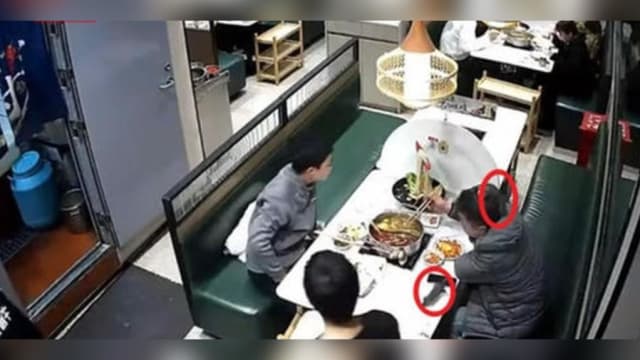 中国火锅店“鼠从天降” 男子称被抓破头