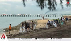 Coastal cleanups: Some cleanup groups in Singapore seeing more volunteers in the past year 
