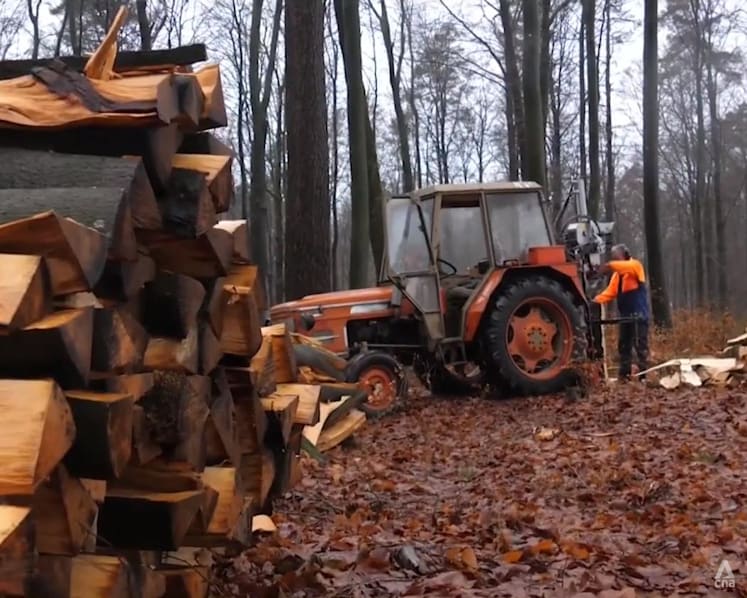 Europe turns to firewood in the face of uncertainties over gas, electricity supplies