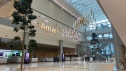 Related article image