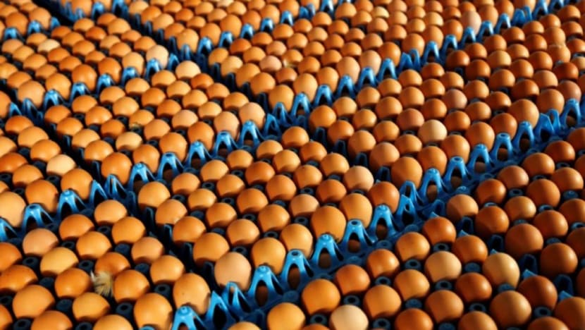 Singapore has 'wide range of alternative sources' for eggs
