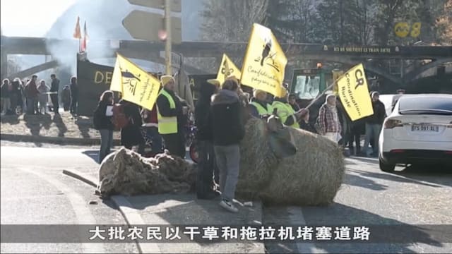 法国数千名农民堵路 抗议政府扑杀牛只遏制皮肤病