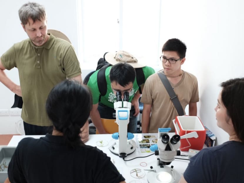 New S$2m facility on Pulau Ubin to educate public about the island