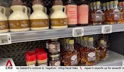 Producers warn of unpredictable maple syrup harvests amid increasing demand 