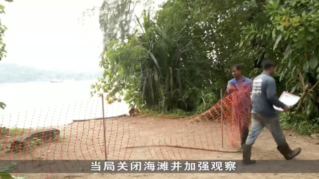 科尼岛海滩确保安全后已重开
